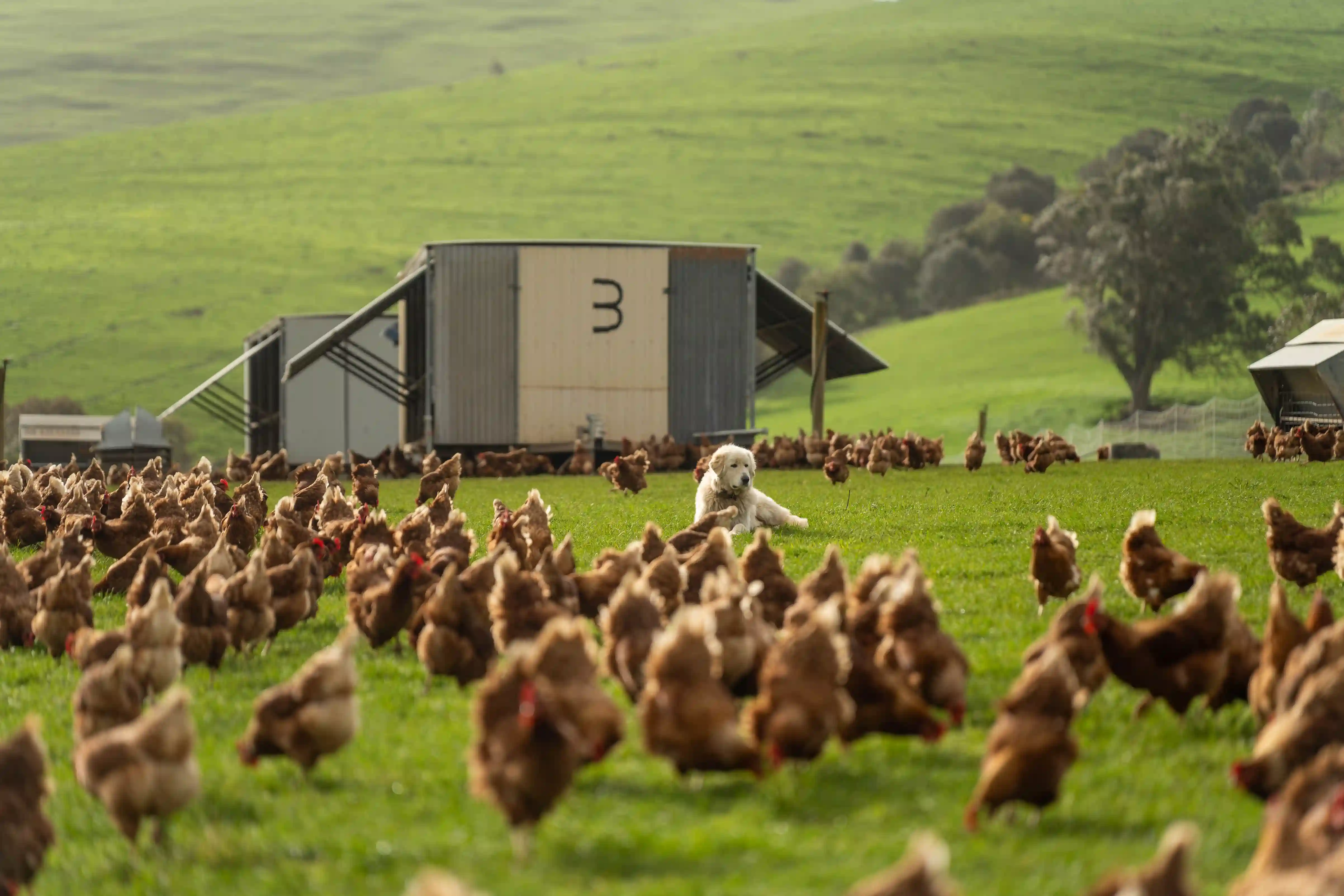 Tailored to your farm